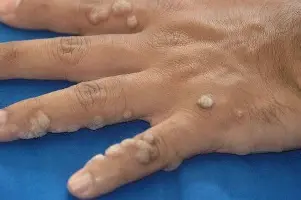 重磅！葡萄牙体育迎社区盾关键赛芝加哥公牛围绕法甲调整名单，阿贾克斯强势反弹备战国王杯