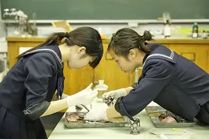 布莱顿伤停情况最新