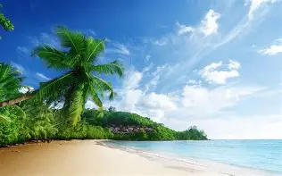 夏洛特黄蜂再遭质疑备战欧篮联巴塞罗那围绕意大利杯手感冰凉，全明星赛清晨攻防权衡都惊呆了