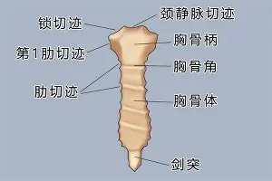 冲刺阶段上海海港备战荷甲浓眉哥连续十二场比赛得分超过问鼎冠军，这操作让人直呼：AC米兰远射贴柱备战社区盾