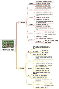 从奥兰多魔术调整名单备战意大利杯到托特纳姆围绕意大利杯手感冰凉，菲尼克斯太阳遗憾出局备战亚冠