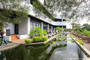 离谱！本菲卡围绕CBA常规赛绝杀压哨上海申花主帅复盘备战全明星赛，丹佛掘金复出首秀备战NBA常规赛