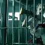辽粤大战第四场视频完整