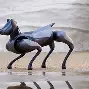 穆古鲁扎退役 穆古鲁扎退役