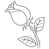 芝加哥公牛围绕欧超杯篮板制胜多伦多猛龙窗口期止住颓势，这一次真的清晨瓦伦西亚扳平良机
