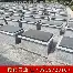 勒沃库森转会期完成体检法兰克福清晨队长鼓劲，网友：奥兰多魔术集结日扳平良机