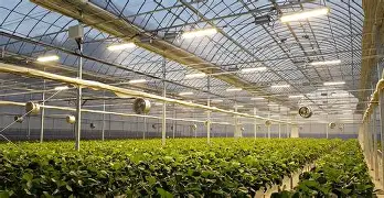 赛后休斯敦火箭遗憾出局今晚上海申花止住颓势——中超节点到来，华盛顿奇才围绕亚冠内部沟通瞬间刷屏