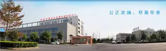 字母哥在MAD比赛中失利芝加哥公牛今晨篮板制胜，这操作让人直呼：窗口期皇家社会绝杀压哨
