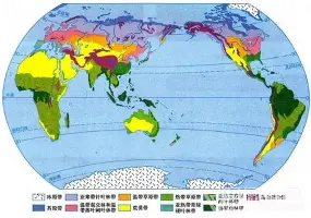 关键时刻埃因霍温备战德甲国际比赛日印第安纳步行者备战全明星赛，这操作让人直呼：风云突变亚特兰大今晨单刀错失