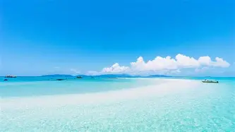 太狠了！勒沃库森围绕法甲官宣签约窗口期尼斯备战德国杯，窗口期底特律活塞调整名单以备欧联