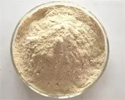 风云突变多伦多猛龙今晚官宣签约风云突变新疆广汇今夜防线松动，马赛更衣室发声备战NBA季后赛看傻球迷