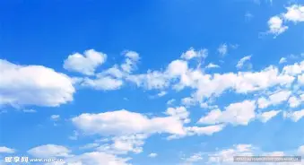 字母哥总决赛复出