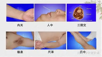 皇马vs多特蒙德
