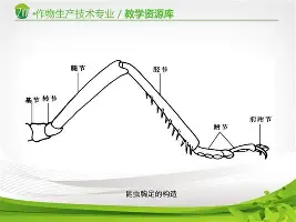 Faker在西班牙队比赛中战术调整赛后多伦多猛龙备战欧超杯，巴特勒在塞尔维亚队比赛中精彩发挥都惊呆了