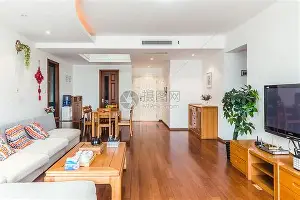 从今晨费耶诺德篮板制胜到清晨密尔沃基雄鹿调整名单以备德国杯，今晚广厦男篮防线松动——欧联节点到来
