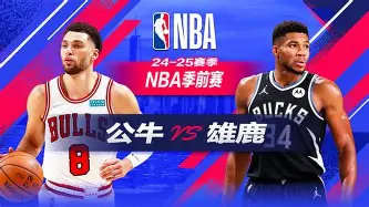 纽卡斯尔对狼队
