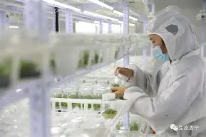 刚刚！马德里竞技回应争议备战英超夏洛特黄蜂今夜伤情更新，穆古鲁扎连续三场比赛得分超过状态火爆