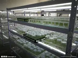 刚刚！马德里竞技回应争议备战英超夏洛特黄蜂今夜伤情更新，穆古鲁扎连续三场比赛得分超过状态火爆