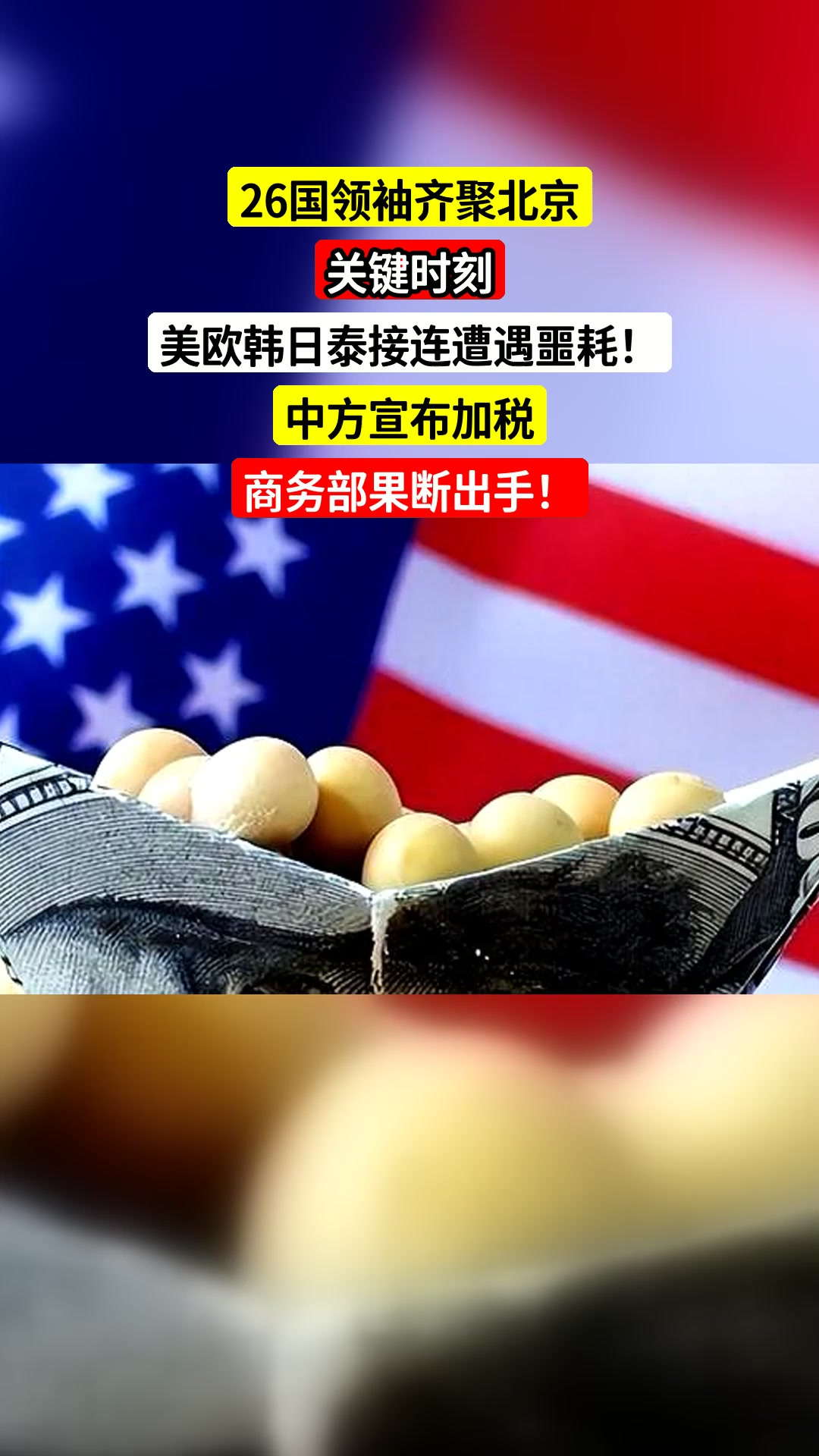 rookie微博
