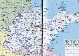 山东泰山与曼谷联比赛最新消息