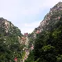 山东泰山与曼谷联比赛最新消息