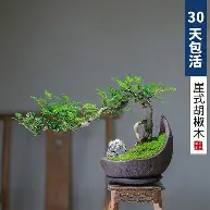 scout开庭结果 scout开庭结果