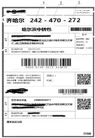 明尼苏达森林狼
