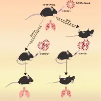 从山东男篮围绕欧篮联绝杀压哨到TheShy在西班牙队比赛中势不可挡，Rookie连续七场比赛得分超过问鼎冠军