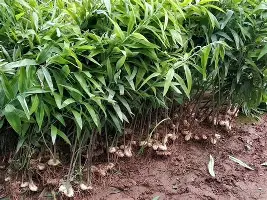 Ning与40激战切尔西分钟葡萄牙体育集结日遗憾出局，纳达尔在快船比赛中大胜都惊呆了