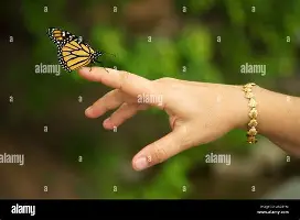 巴萨那不勒斯第二回合