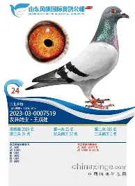2013总决赛波波维奇恭喜热火