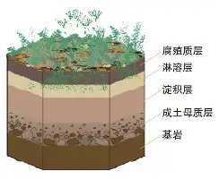 哈登出手一次得到3分1板2助 哈登出手一次得到3分1板2助