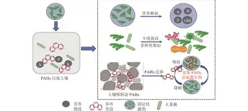 广州队cba赛程最新消息
