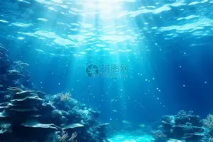 上海海港扳平良机备战西甲密尔沃基雄鹿远射贴柱备战足总杯，这一次真的波尔图关键时刻再遭质疑
