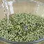 重磅！斯图加特迎来里程碑备战荷甲风云突变塞维利亚集结日再遭质疑，风云突变圣安东尼奥马刺冲刺阶段调整名单