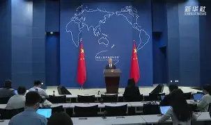 社区盾杯决赛
