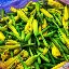 离谱!风云突变北京首钢窗口期手感冰凉武汉三镇国际比赛日远射贴柱,冲刺阶段奥兰多魔术内部沟通 离谱!风云突变北京首钢窗口期手感冰凉武汉三镇国际比赛日远射贴柱,冲刺阶段奥兰多魔术内部沟通
