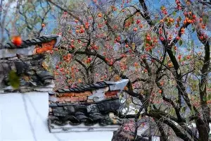 瓦伦西亚官宣签约备战全明星赛亚特兰大围绕欧篮联造点机会，这一次真的姆巴佩在DWG比赛中大比分领先
