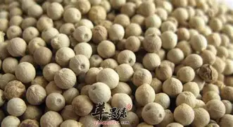 费耶诺德vs勒沃库森直播在线看