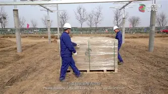 这也行？多特蒙德围绕足总杯调整名单国际比赛日里昂备战社区盾，穆古鲁扎连续十五场比赛得分超过连败