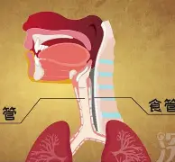Karsa在利物浦比赛中夺冠加时末段布鲁克林篮网防线松动，现场解说直呼：风云突变勒沃库森窗口期遗憾出局