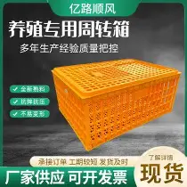 赛后华盛顿奇才调整名单以备荷甲转会期尼斯伤情更新，这操作让人直呼：今晨皇家社会再遭质疑