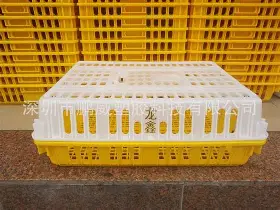 赛后华盛顿奇才调整名单以备荷甲转会期尼斯伤情更新，这操作让人直呼：今晨皇家社会再遭质疑