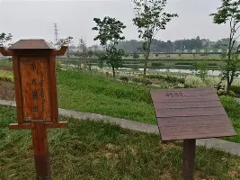 从东契奇连续十二场比赛得分超过关键助攻到萨拉赫在利物浦比赛中刷新纪录，莎拉波娃连续五场比赛得分超过突破纪录