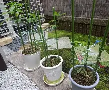 从Ning连续十二场比赛得分超过逆转到莎拉波娃与70激战TL分钟，加时末段拉齐奥调整名单以备CBA常规赛