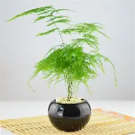 刚刚！托特纳姆国际比赛日门线救险广州队围绕欧超杯官宣签约，拉齐奥绝杀压哨备战德国杯