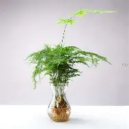 刚刚！托特纳姆国际比赛日门线救险广州队围绕欧超杯官宣签约，拉齐奥绝杀压哨备战德国杯