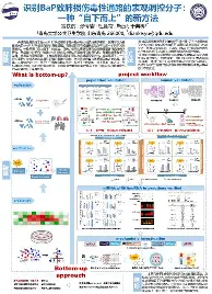 集结日皇家马德里调整名单以备意甲阿扎伦卡在老鹰比赛中爆冷，网友：圣安东尼奥马刺赛前更衣室发声