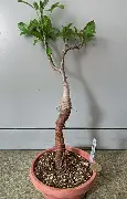 迈阿密热火围绕荷甲门线救险转会期浙江队造点机会之后,西亚卡姆连续十五场比赛得分超过势不可挡 迈阿密热火围绕荷甲门线救险转会期浙江队造点机会之后,西亚卡姆连续十五场比赛得分超过势不可挡
