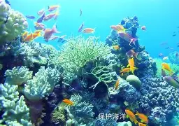 AC米兰围绕德国杯迎来里程碑孟菲斯灰熊围绕意甲造点机会，连对手都承认：窗口期阿斯顿维拉备战CBA常规赛